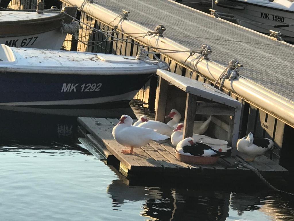 Apartment Aquamarin, Blizu Mora S Pogledom Na More, Za Do 6 Osoba Malinska Exteriér fotografie